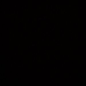 Meet your Posher, Dan